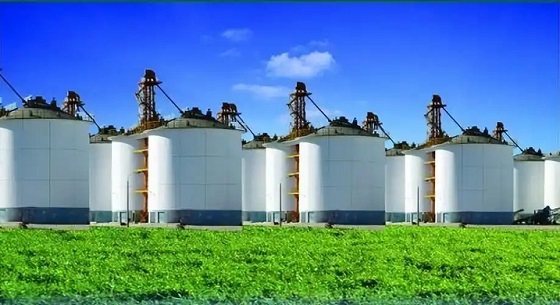 推进绿色储粮守好天下粮仓
