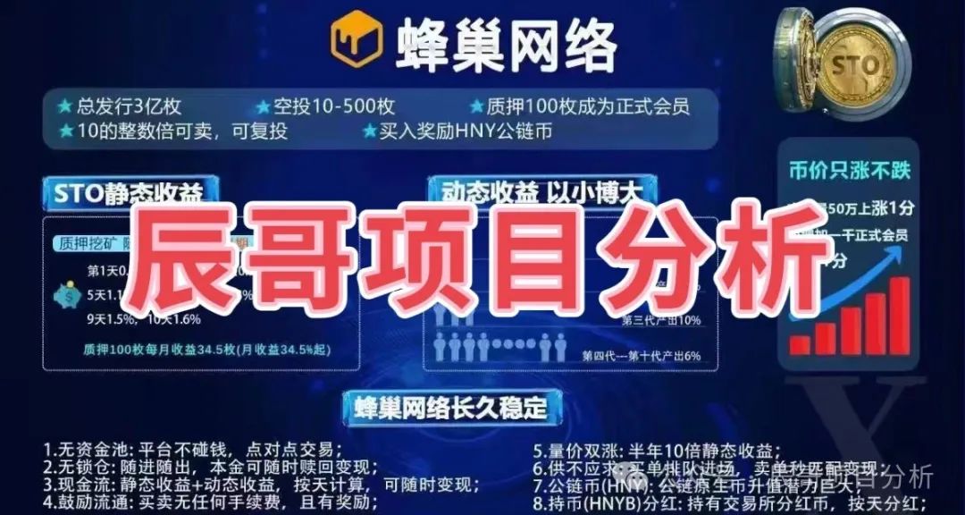 【资金盘骗局】蜂巢网络STO（HNY）它采用了类似传销的层级结构！