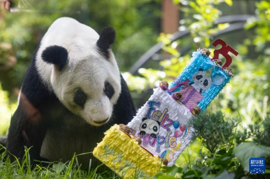 “欣欣”不老，情谊常新