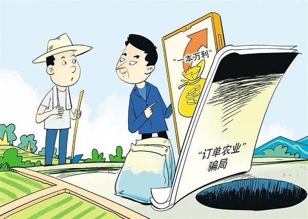 认清披着“订单农业”外衣的骗局