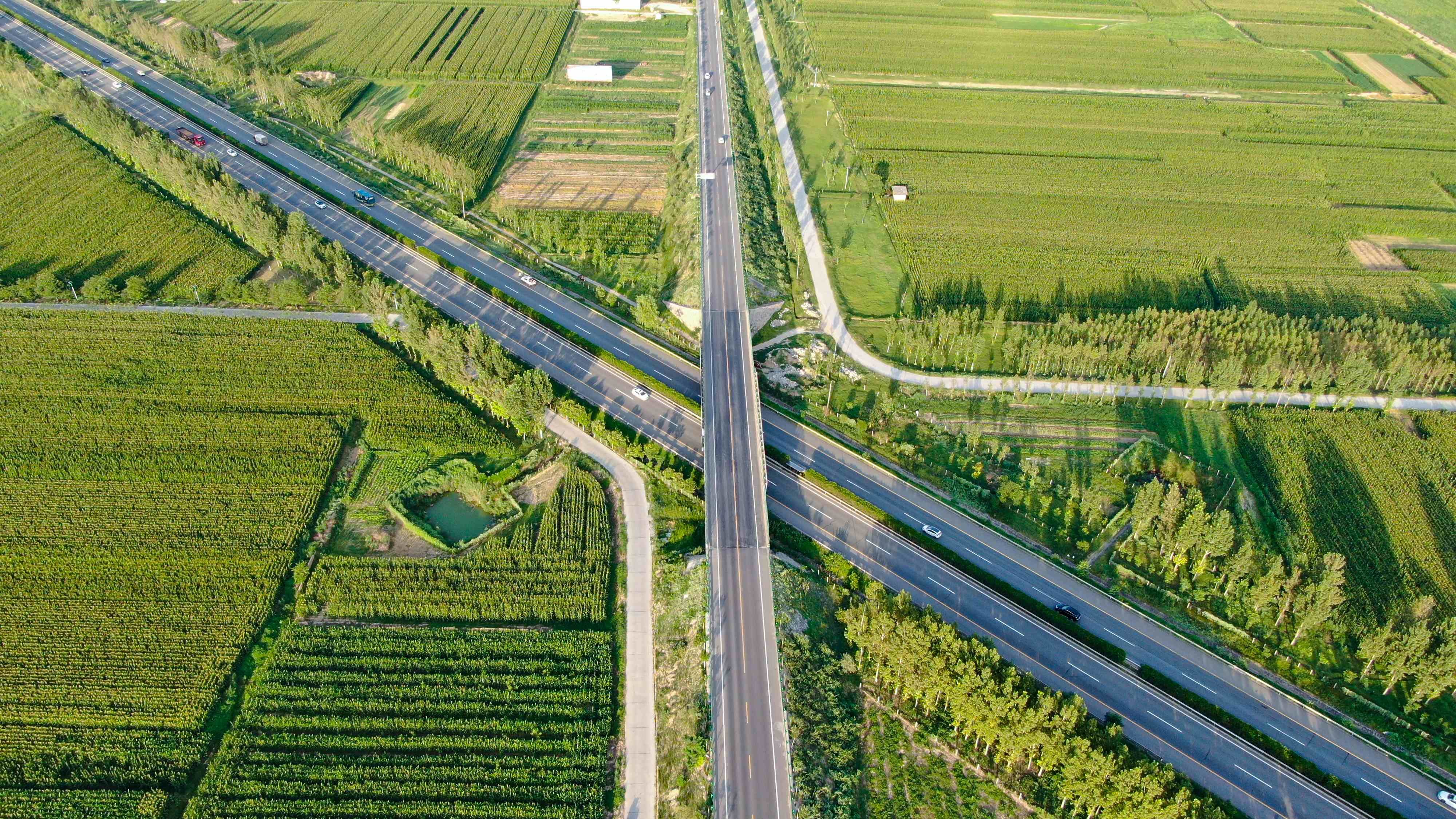 因地制宜发展县域经济