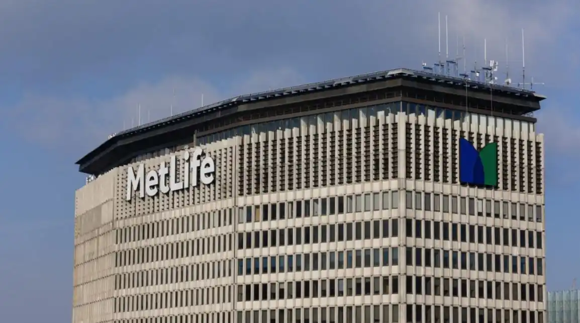 五险企共话合规高质量发展