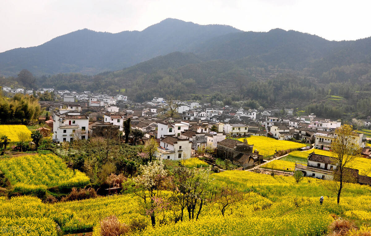 乡村振兴 开辟就业新空间