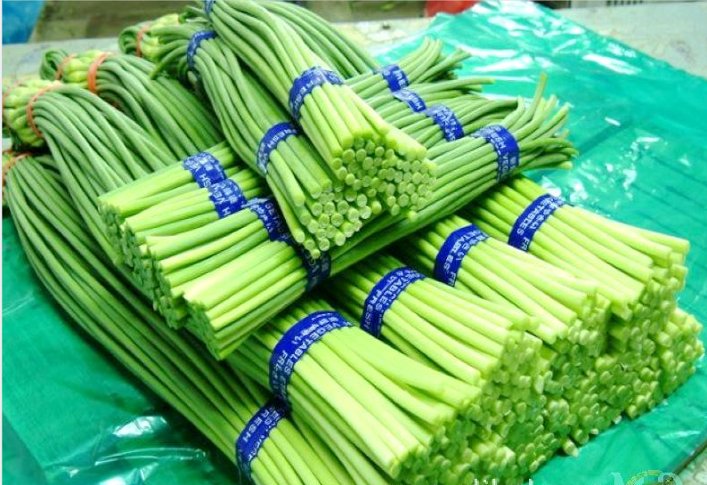 蒜薹免费韭菜薹不免？绿通政策需拾遗补漏