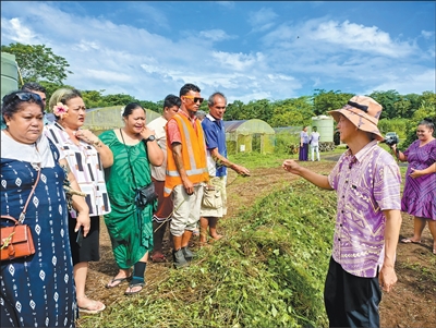 我在萨摩亚援外的这七年