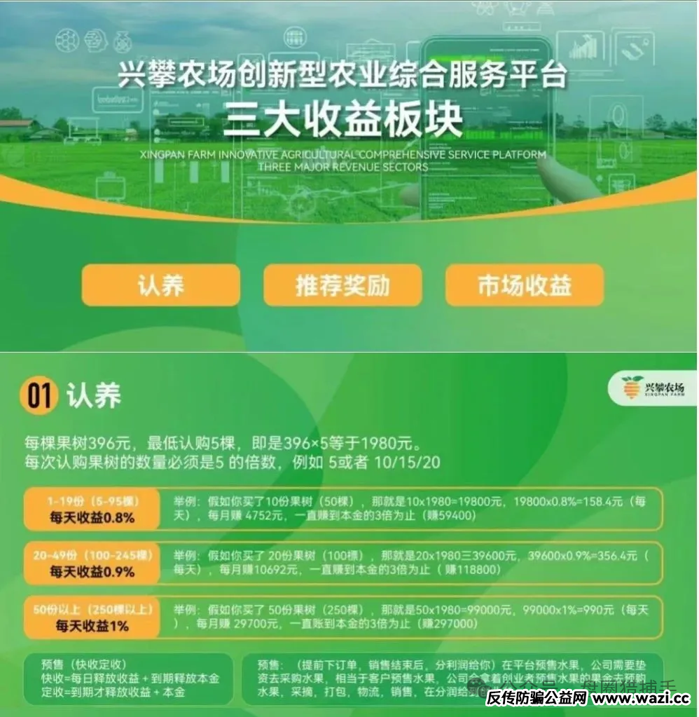 【兴攀农场,凤凰潮,中洲联储,安我股保,MC公链】远离资金盘传销骗局!