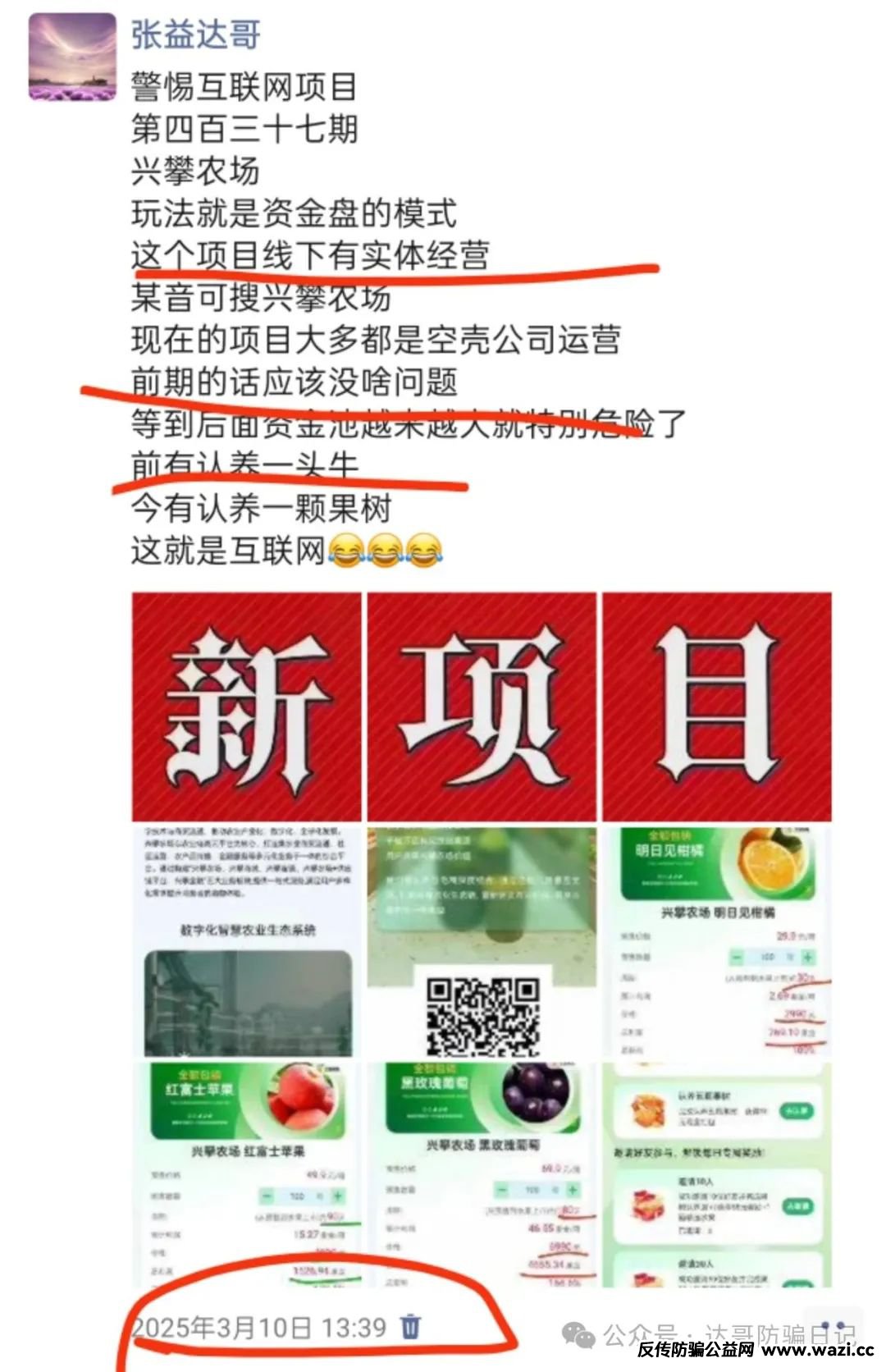 预警提醒【兴攀农场】大额产品上线,集资项目背后的风险一定要警惕!