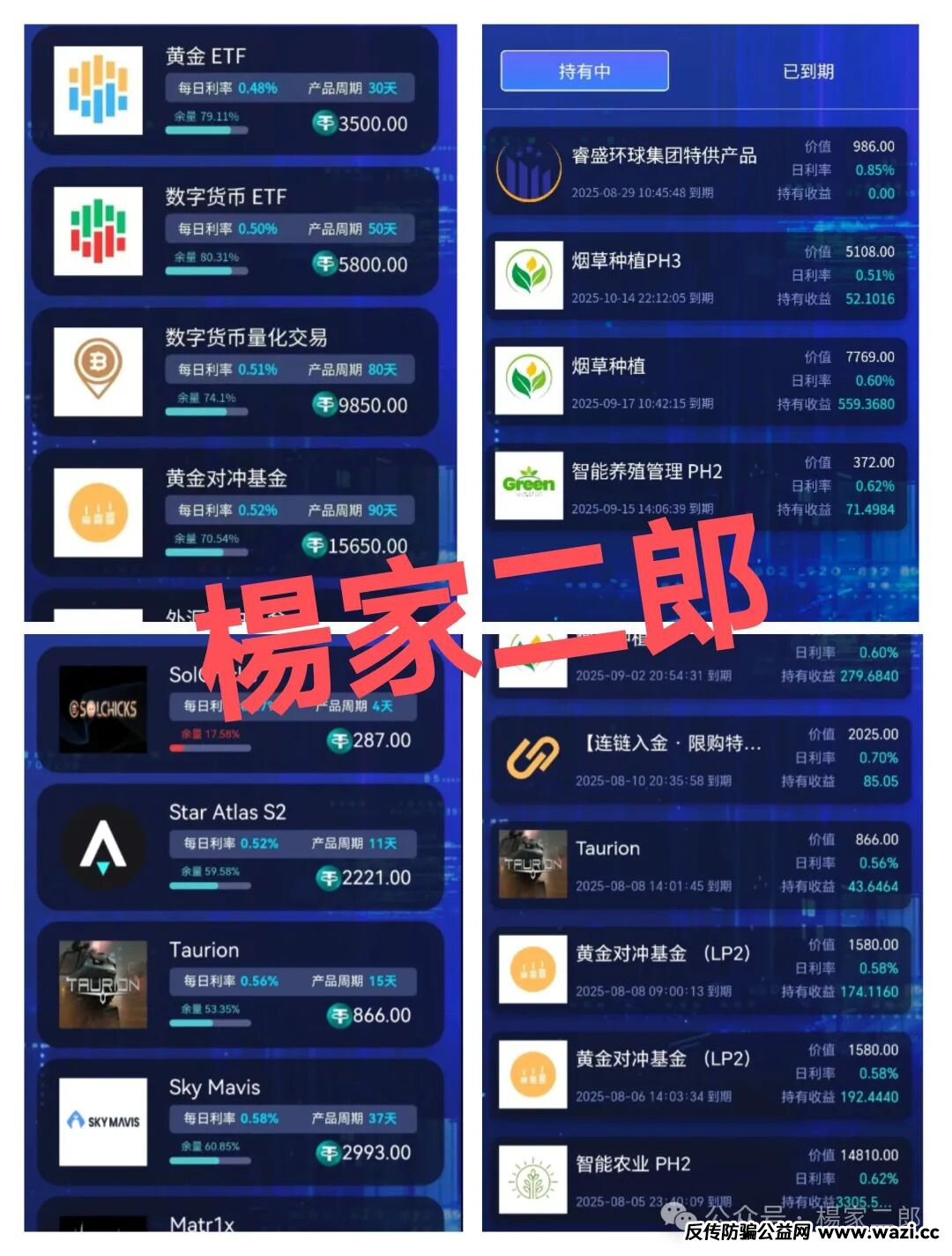 高度风险预警:睿盛环球集团Golden Link（博瑞通)已大量单割，下一个被割的会不