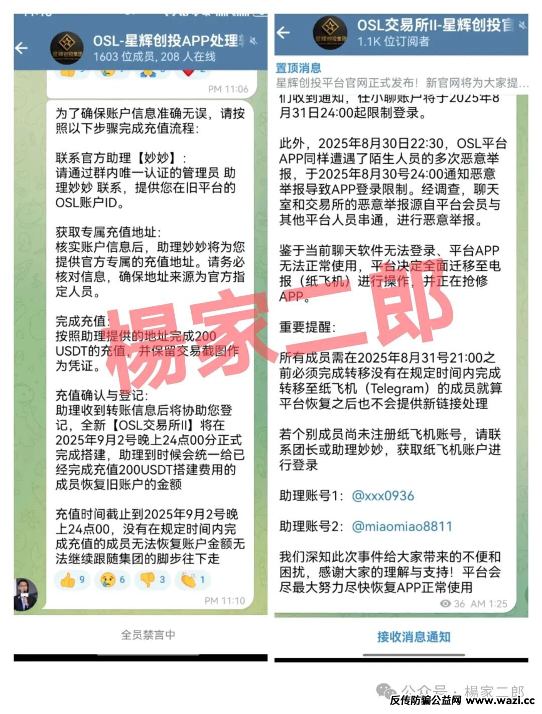 “星辉创投”跟单短命盘已崩盘跑路，切莫交“智商税”再次受骗！