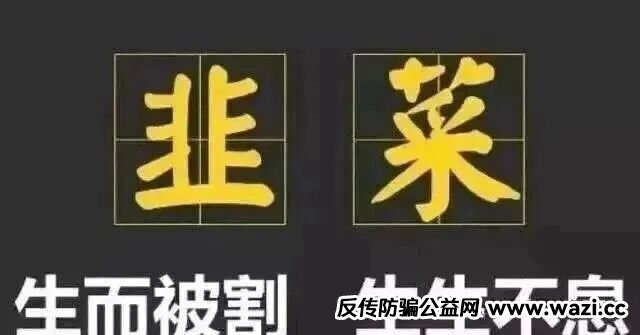 10月底最新整理8个崩盘跑路【启明创投,全球供应链,超脑智算,方舟之境,永